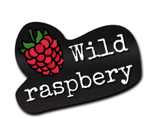 Raspberry patch